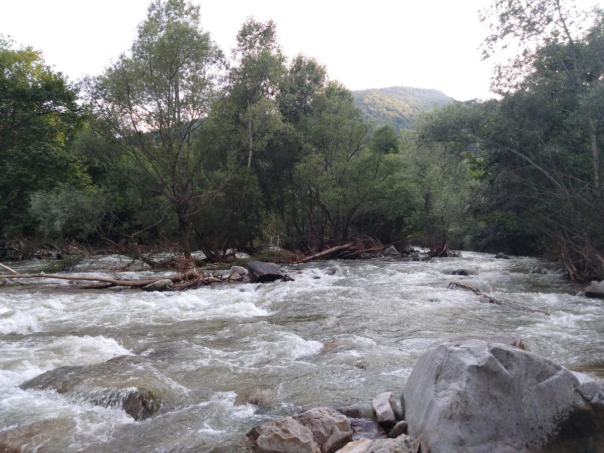 Complex Magic Of The Rhodopes Hotel บาคโคโว ภายนอก รูปภาพ